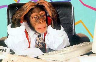 How To Tell If Your Employee Are Monkeying Around And Not Working