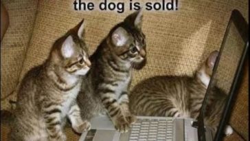 Ok Just One More Click And The Dog Is Sold