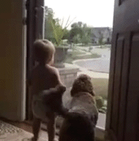 Daddy Coming Home - Funny Animated GIF