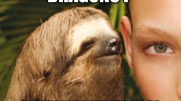 FUNNY SLOTH RAPE MEME GRAPHIC