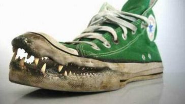 Crocodile Face Funny Footwear Photo 3