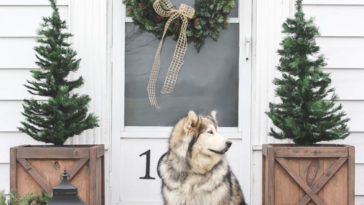 Simple Outdoor Christmas Winter Decor Idea