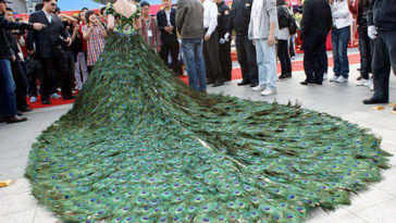 Woman In Peacock Dress Funny Picture 2