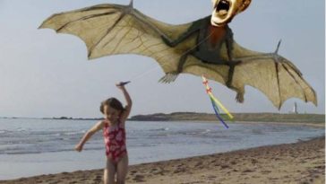 Picture Of Funniest Kite Fly By Baby