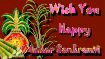 50 Best Happy Makar Sankranti 2018 Images With Quotes For Whatsapp & Facebook