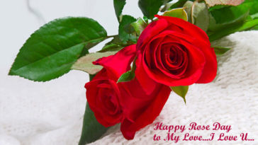 Happy Rose Day Wishes Image 68