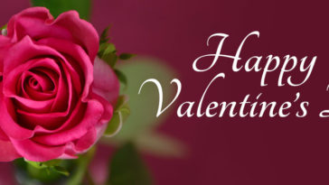 Happy Valentines Day Facebook Cover Image With Rose Flower