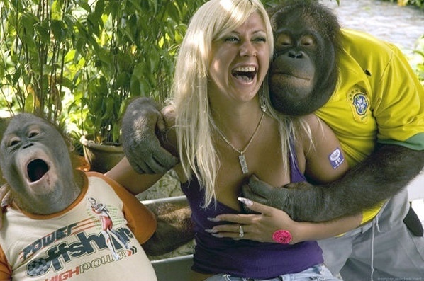 Funny Animals Doing Naughty Things With Girl